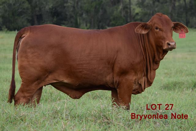 Bryvonlea Note